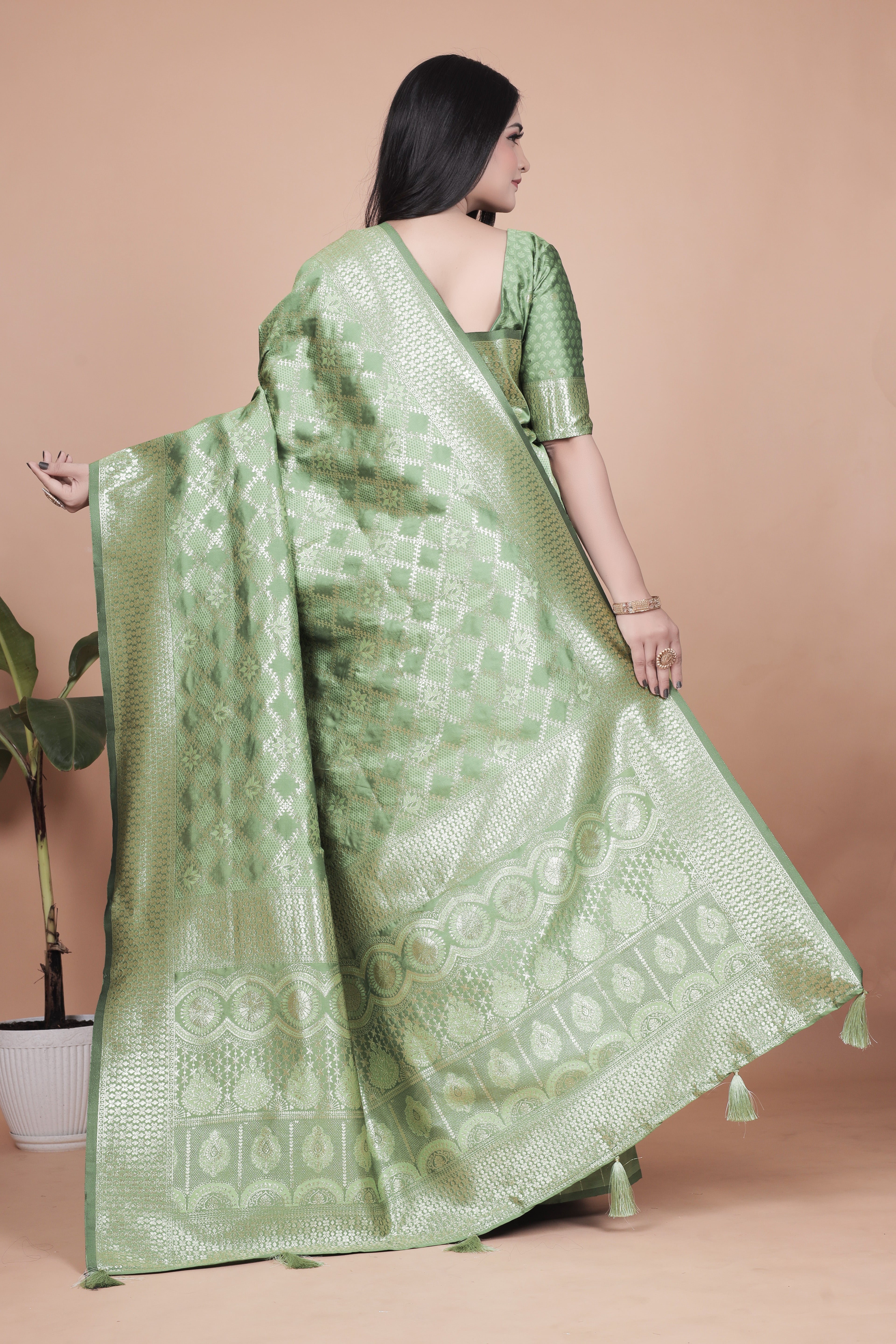 Banarasi Silk Saree with Golden Zari Elegance with 4 color ✨💚